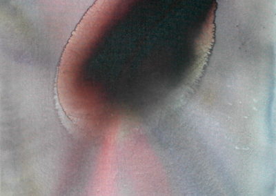 120- Buscant l'enllaç C T28070904 acrílic 81 x 65 cm.