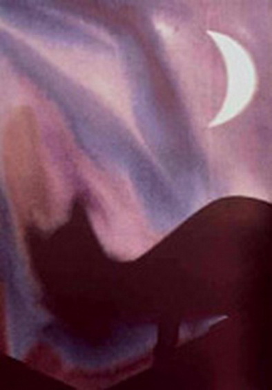 1984 Gat i Lluna Téc. acrílic 116 x 89 cm.