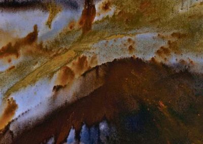 1991 Naturalesa magnànima T30039302 acrílic 81 x 60 cm.