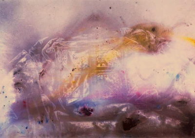 1997 Nau Organica T02039801 acrílic 195 x 130 cm.