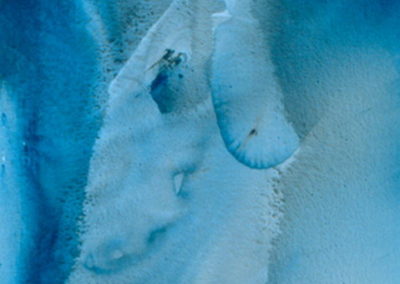2000 Cosmic T06030001 acrílic 162 x 114 cm.