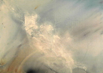 2002 Ecosistema submarí tortuga T09060201 acrílic 116 x 89 cm.