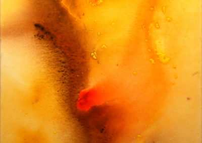 2005 Rostre T01110501 acrílic 61 x 50 cm.