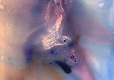 2007 Essència de dofins T14120701 acrílic 120 x 100 cm.
