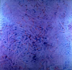 Papel Acrilico/Pastel       116 x 114 cm       1996